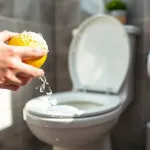 Jak usunąć kamień z muszli klozetowej domowym sposobem?